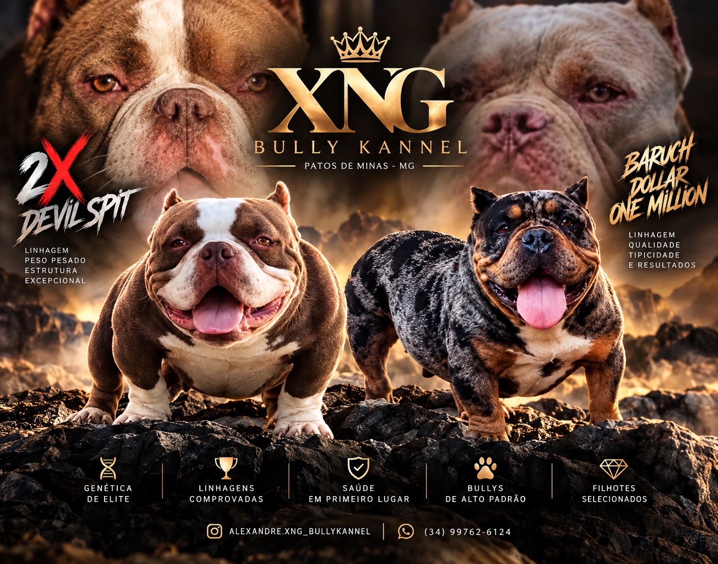 XNG Bully Kennel Poster - 2X Devil Spit, Baruch, Dollar, One Million